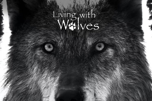 HERE IN WOLF COUNTRY